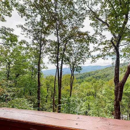 Villa Fern Cabin